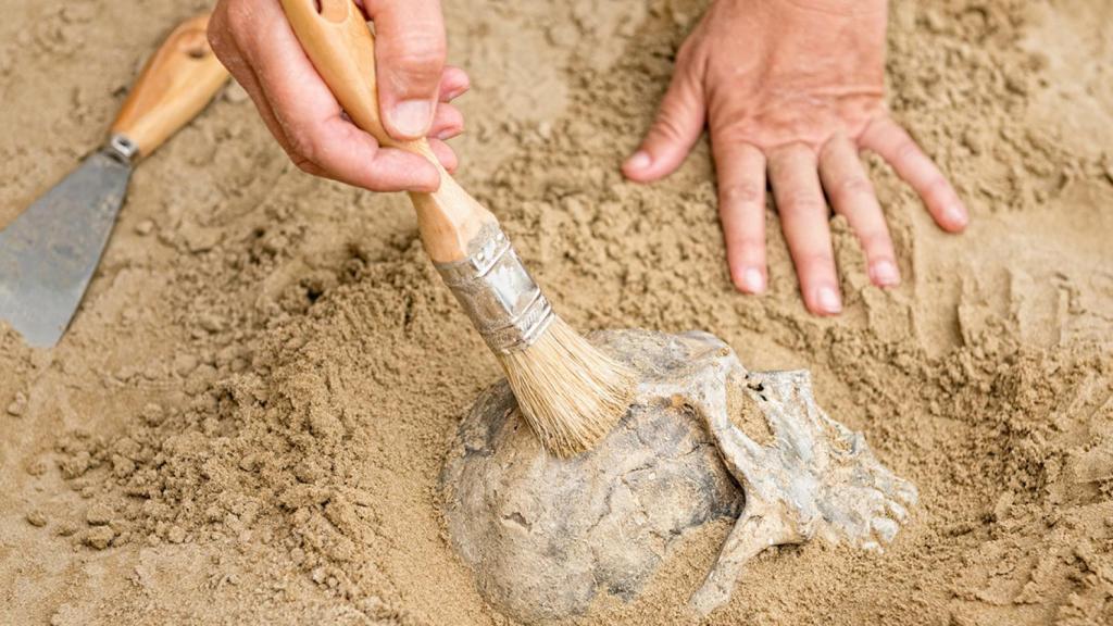 Modelos 3D y escaneos de yacimientos para crear un catálogo digital