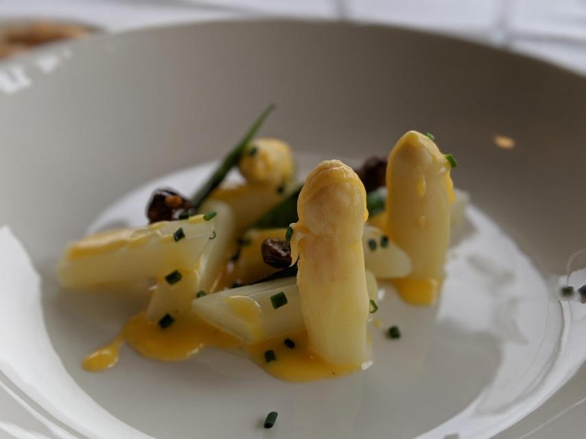 Espárragos de Tudela en Finca Santa Rosalía