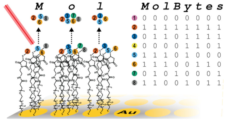 almacenamiento moleculas