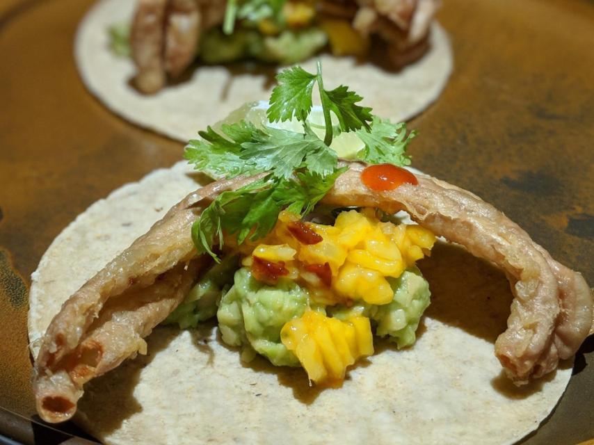 toca gallinejas salino