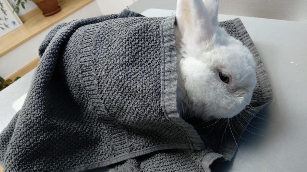 Desde la clínica ocultaron en el informe médico solicitado sobre Dexter