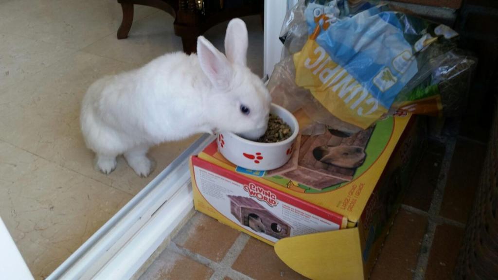 En la nueva clínica me dijeron que la operación previa estaba mal realizada.