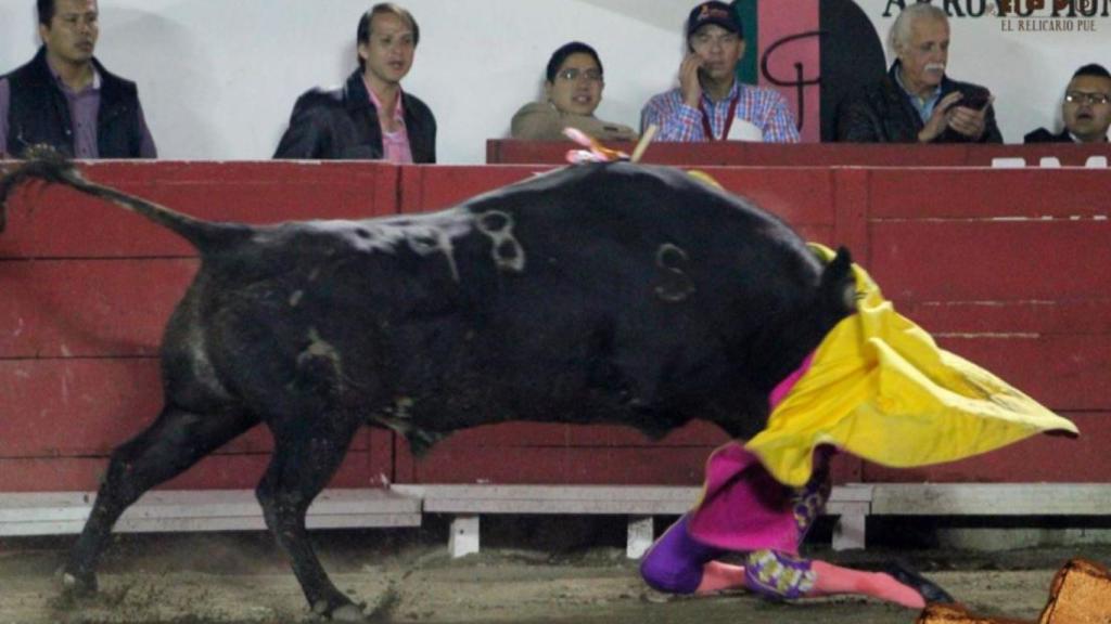 Hilda Tenorio, matadora mexicana, sufre una grave cogida.