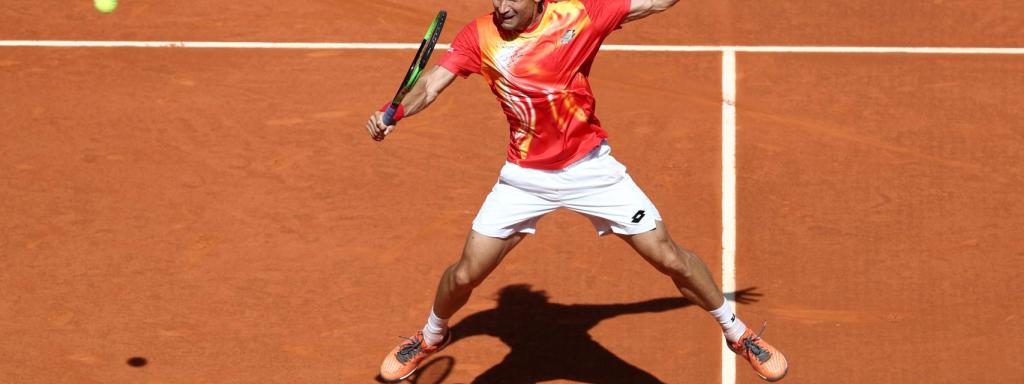 David Ferrer