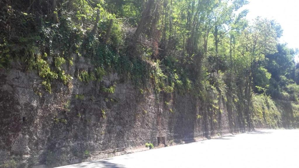 Lugar por el que se precipitó Julio en la 'Senda del Oso'.