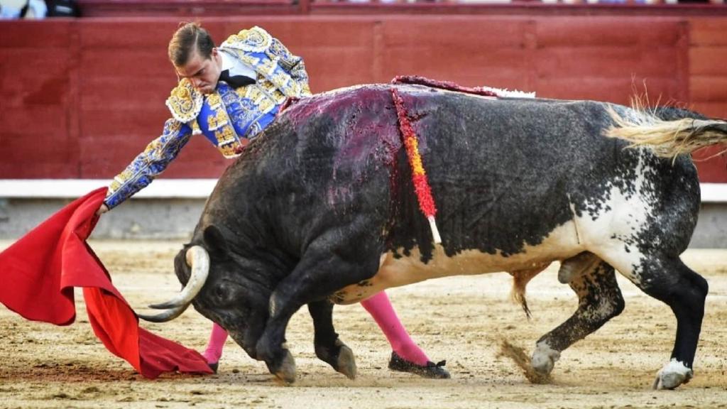 Derechazo de Javier Cortés