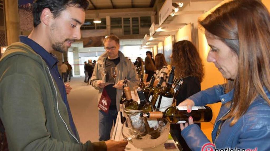 festival vino douro 2018 foz coa (33)