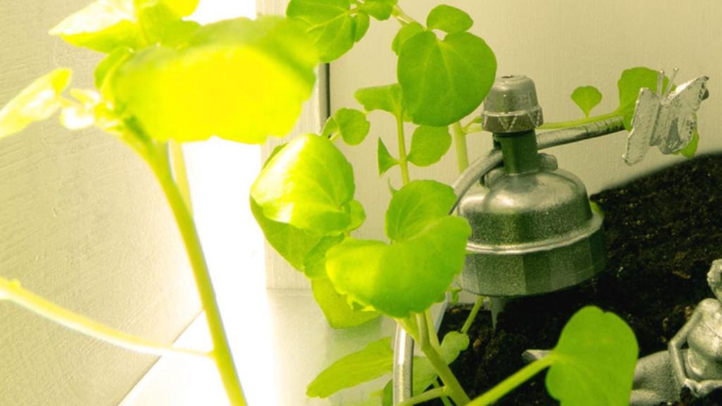 Es un proyecto de colaboración entre un ingeniero y una arquitecta del MIT.