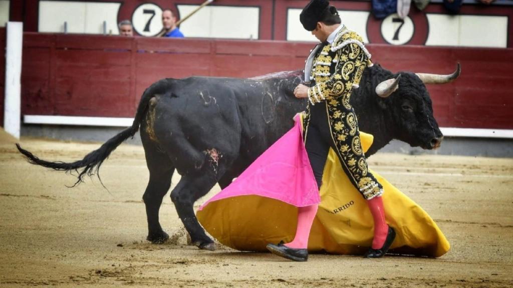 Media verónica de Garrido a un toro que no humilló