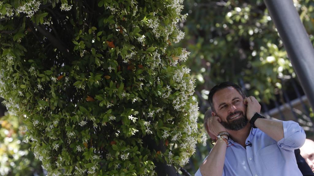 El presidente de Vox, Santiago Abascal.