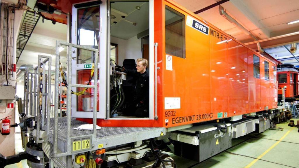 Imagen de una planta de Euromaint.