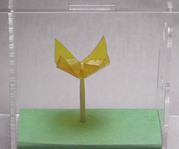 robot activación agua