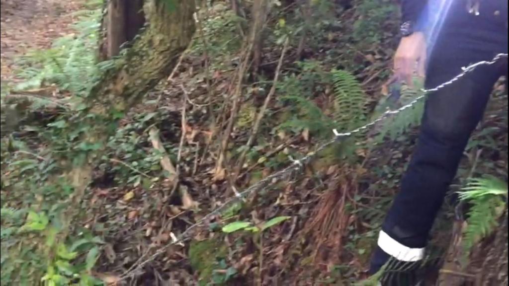 Alambre de espino colocado en un camino de Mieres