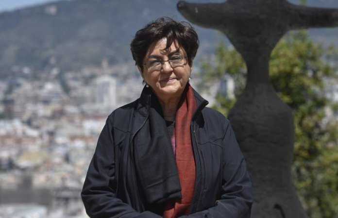 Nalini Malani: In Search of Vanished Blood, 2012