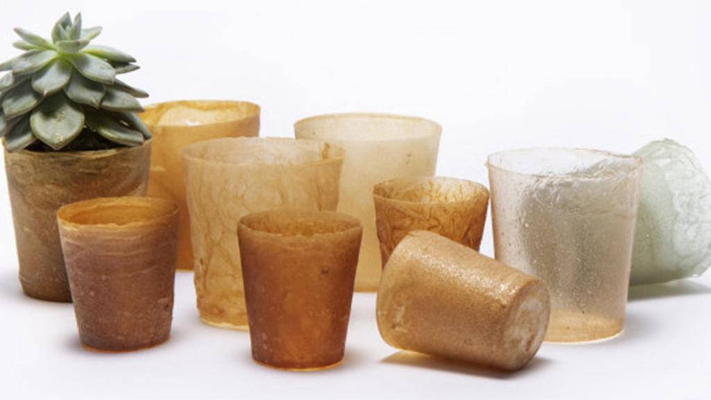 Algunos de los productos fabricados con este biomaterial.