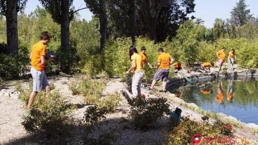 voluntariado ambiental castilla y leon 1