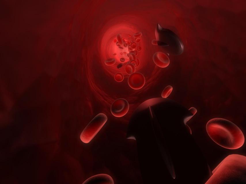 Recreación de una invasión de células cancerígenas.