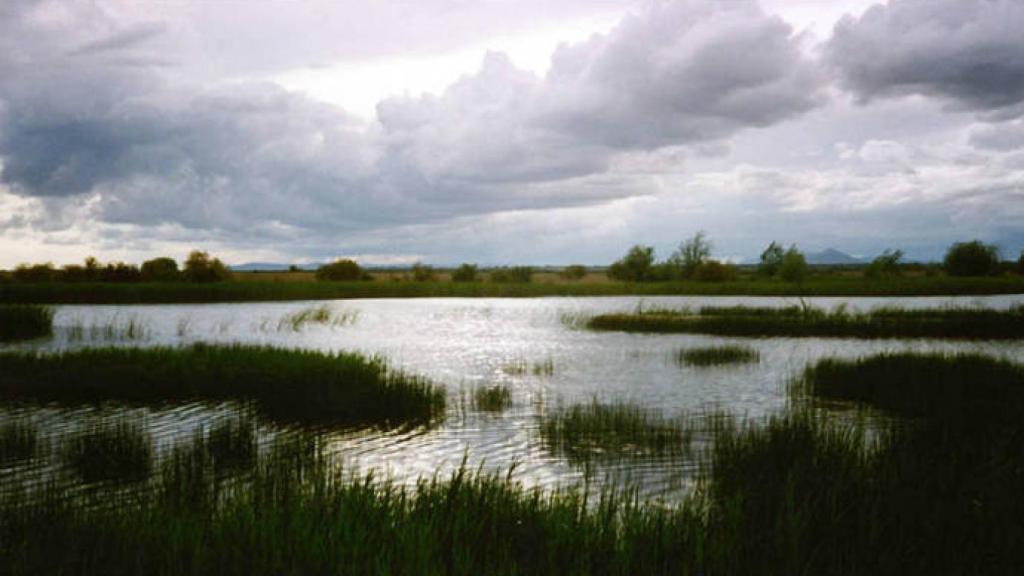Las Tablas de Daimiel