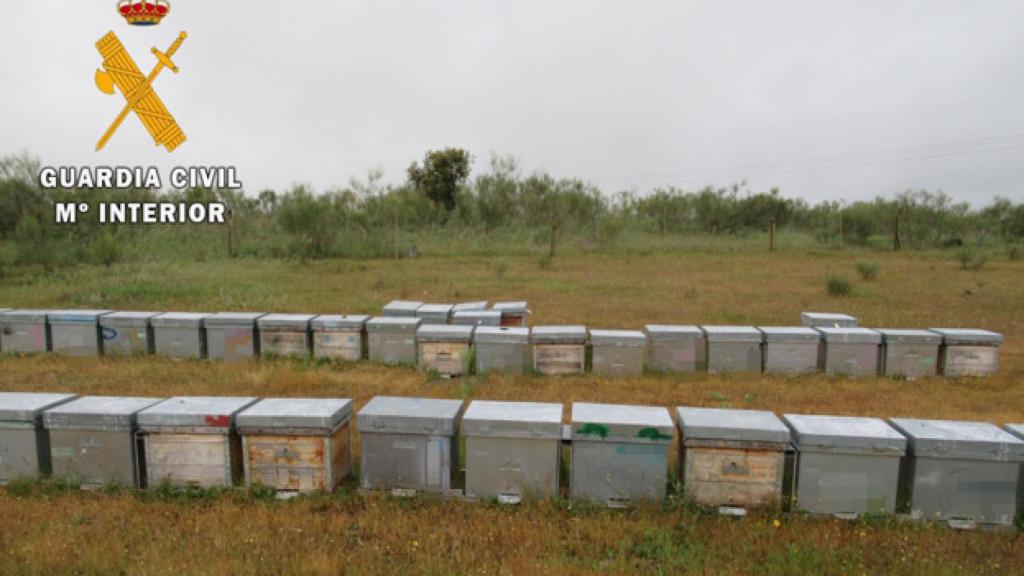 Las colmenas involucradas en el presunto robo. Foto: Guardia Civil.