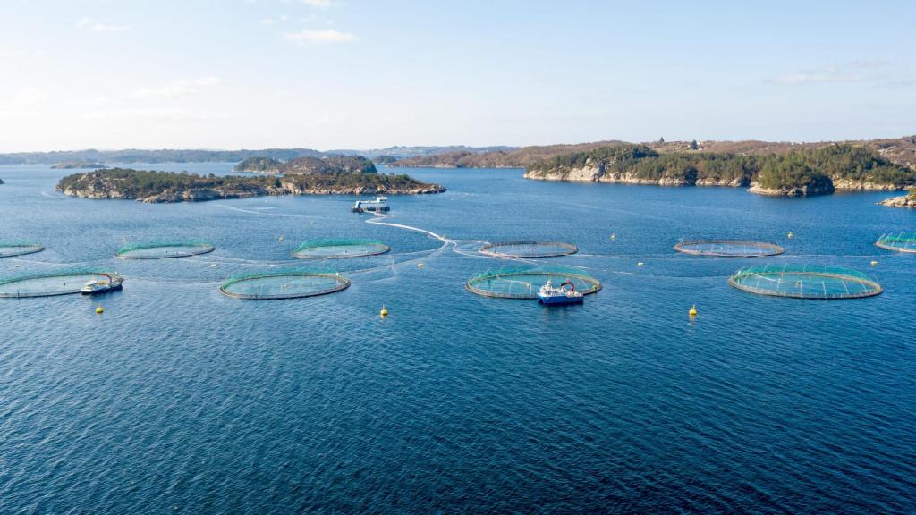 Una granja para cultivar el salmón en medio de los fiordos perteneciente a Leroy.