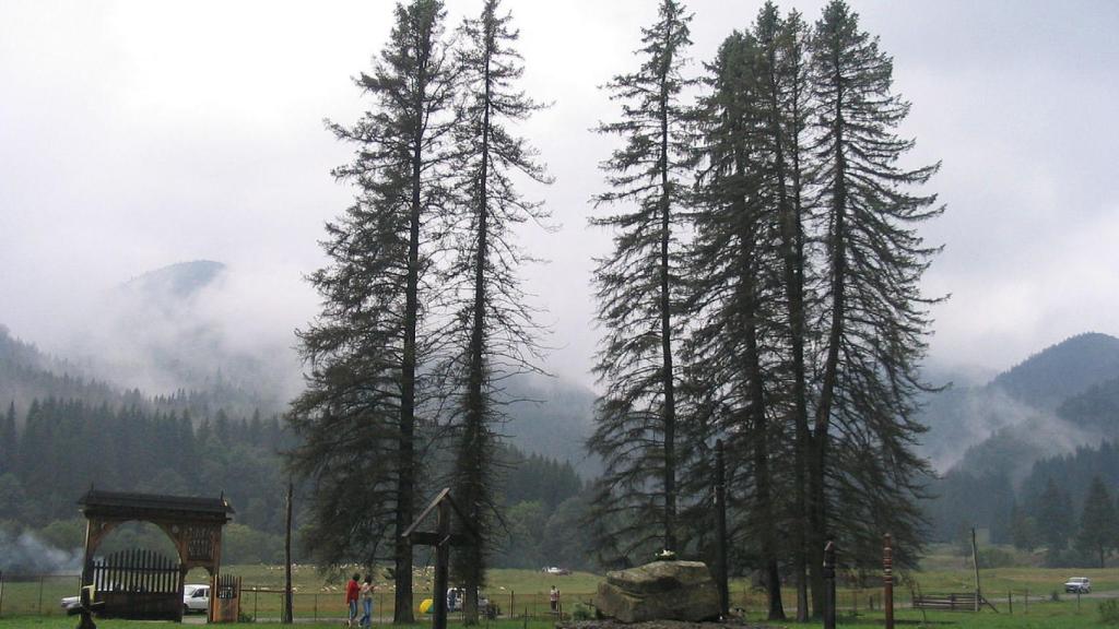 El cementerio de Úzvölgye se encuentra cerca de una aldea abandonada en la región de Transilvania.
