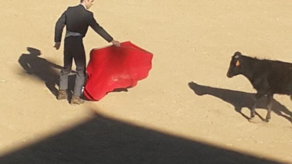 toros rioseco fiestas valladolid becerrada 11