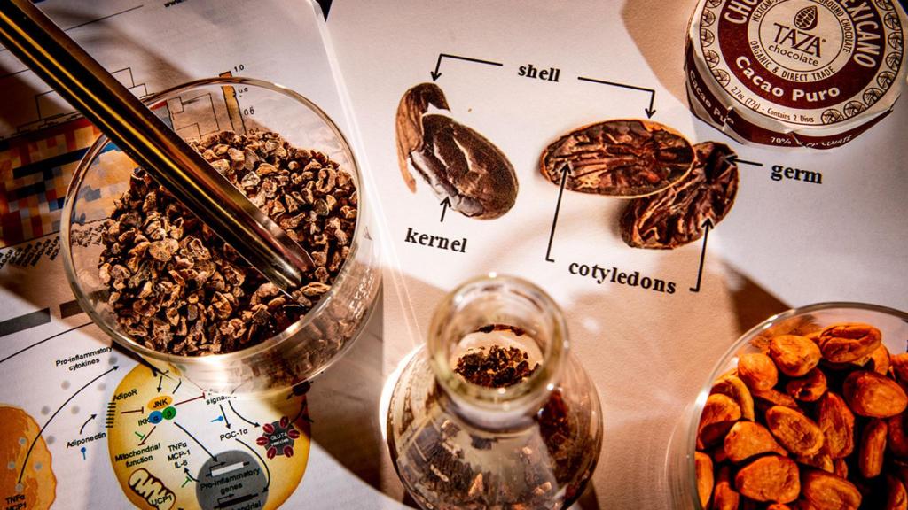 Cáscaras de cacao. Fred Zwicky / LAS Illinois