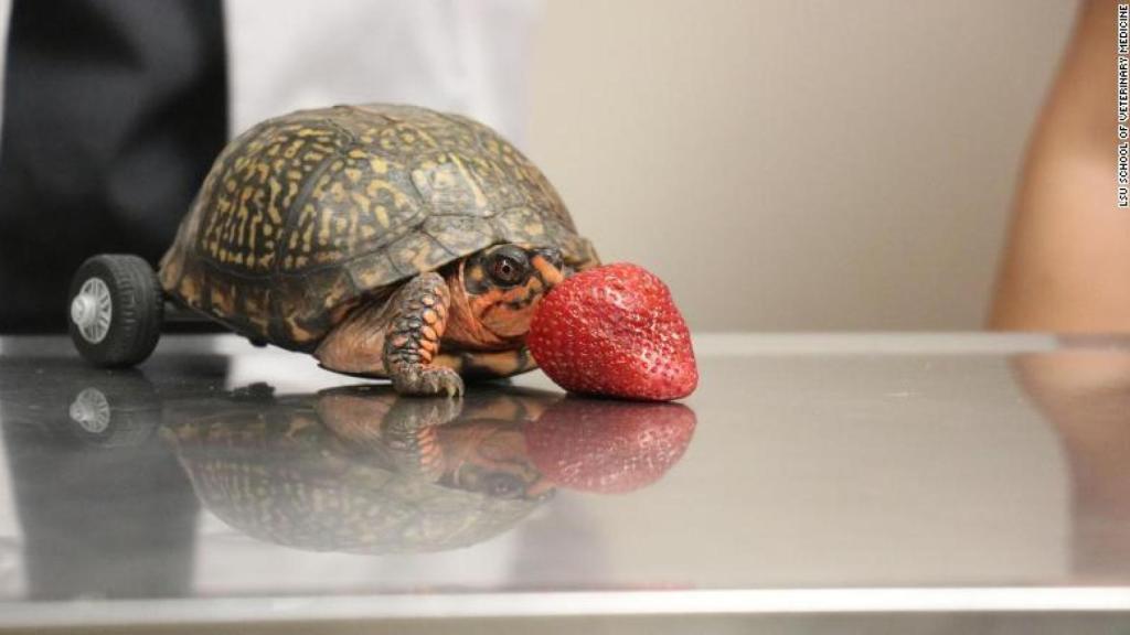 Pedro con su original silla de ruedas