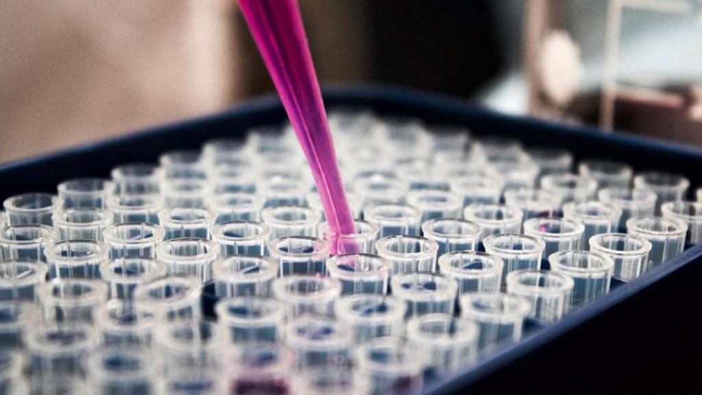 La UDC sube al puesto 37 del ranking de investigación de la revista Nature, un 28% más