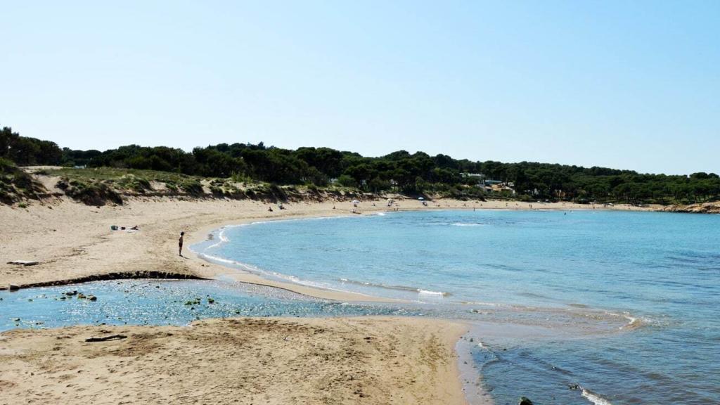 Playa Rec del Molí