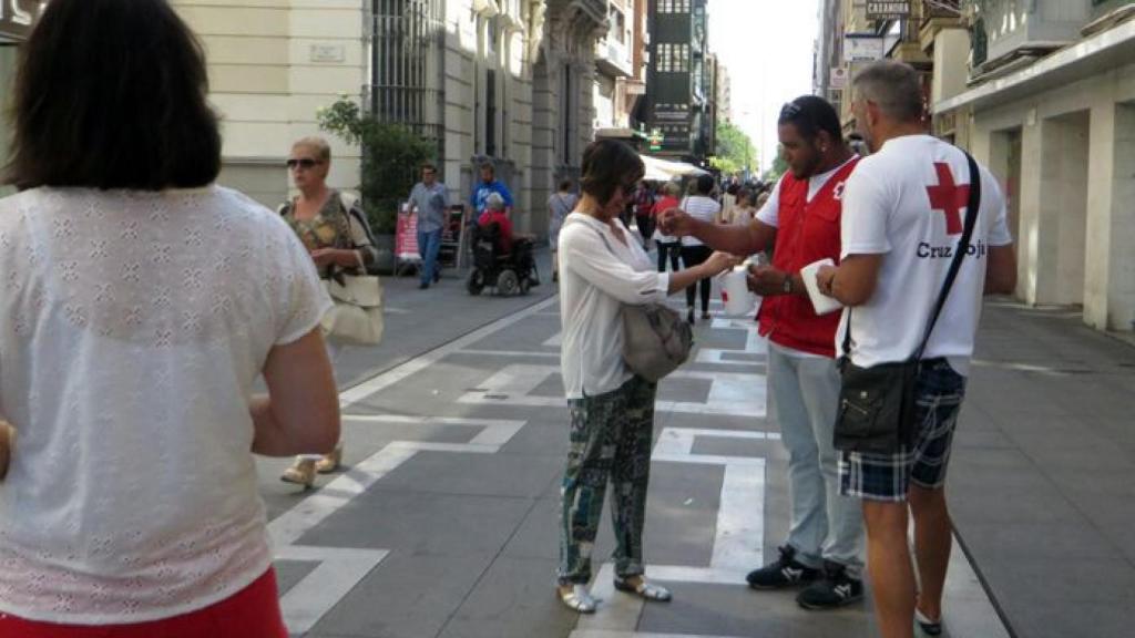 zamora cruz roja dia banderita 4
