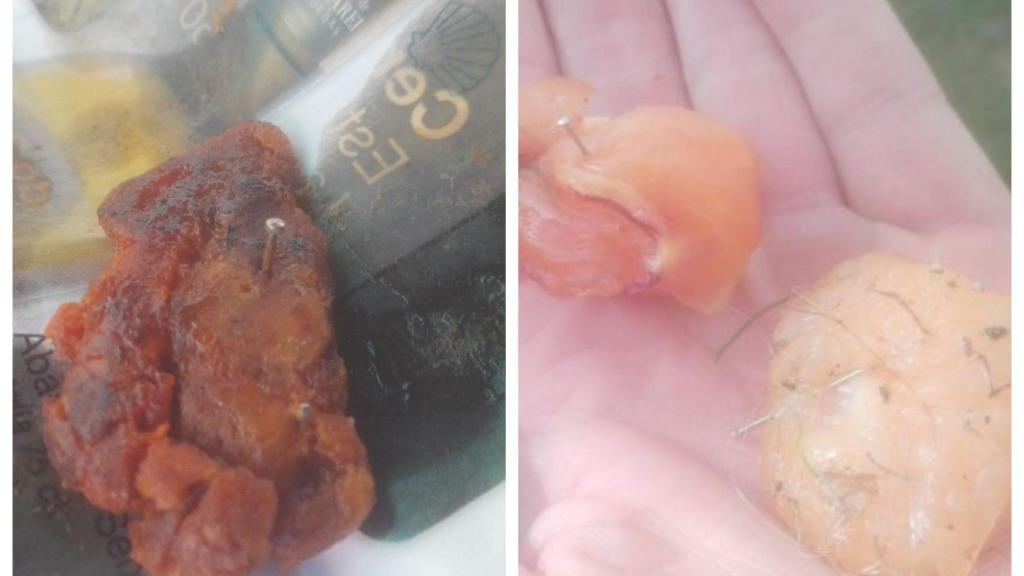 El Parlamento gallego debatirá sobre la carne con clavos aparecida en A Coruña
