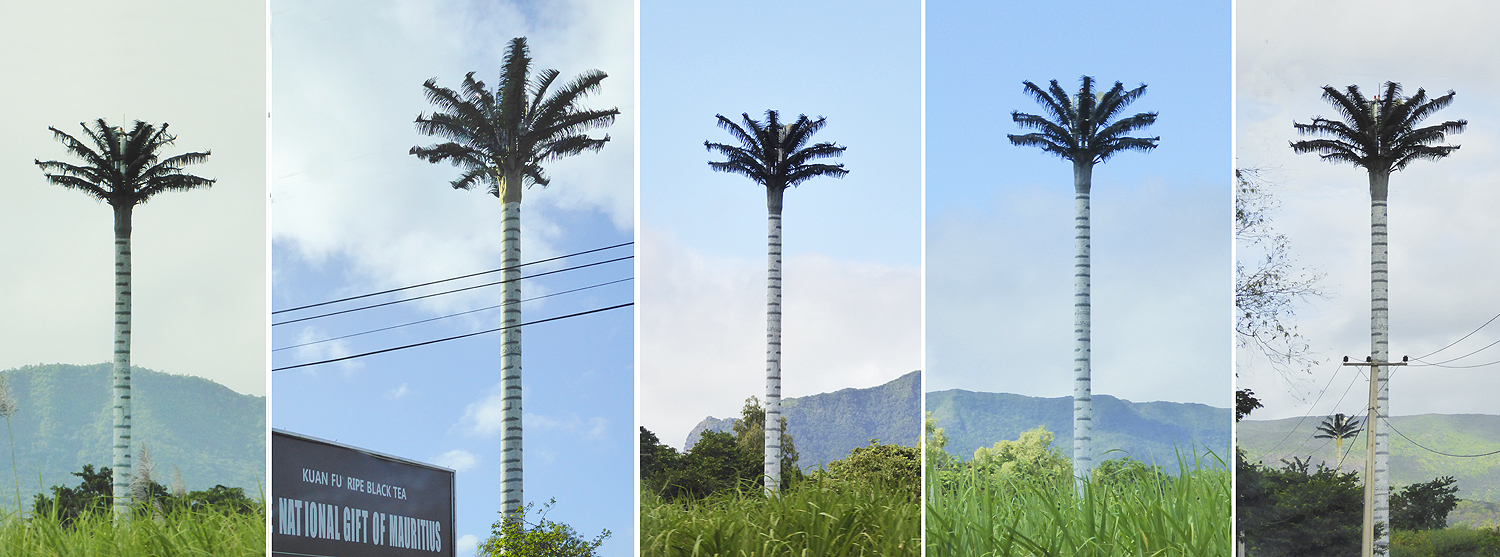 Las nuevas y artificiales palmeras digitales de Mauricio.