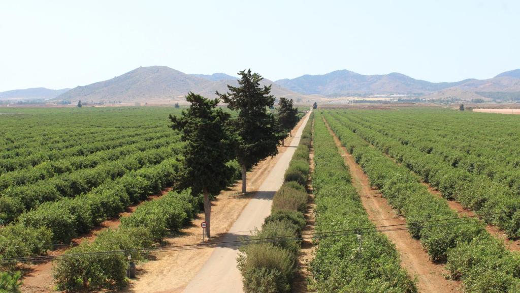 La finca Hacienda El Pino.