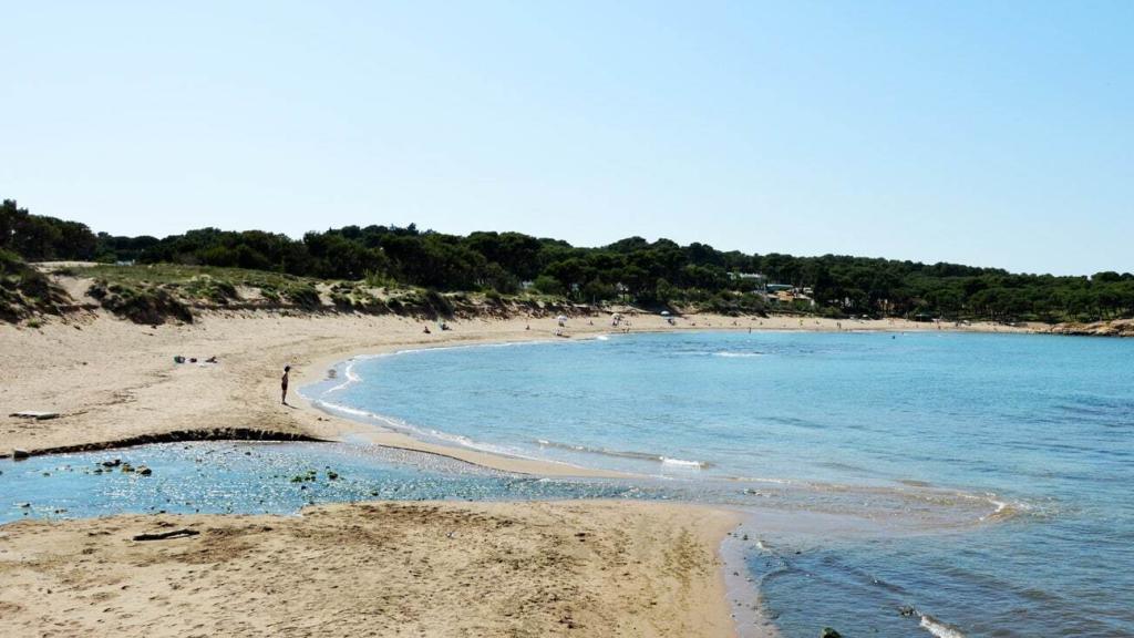 Playa Rec del Molí