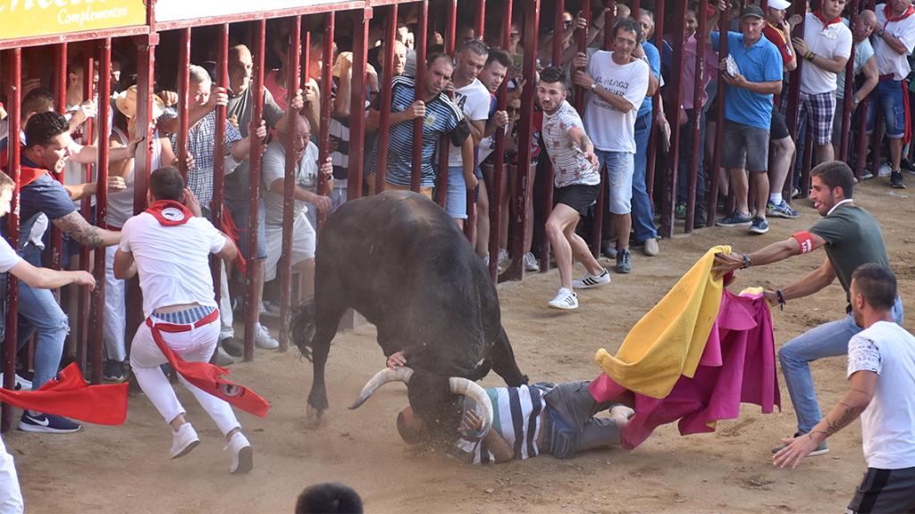 El toro Judío corneó a un hombre en la plaza
