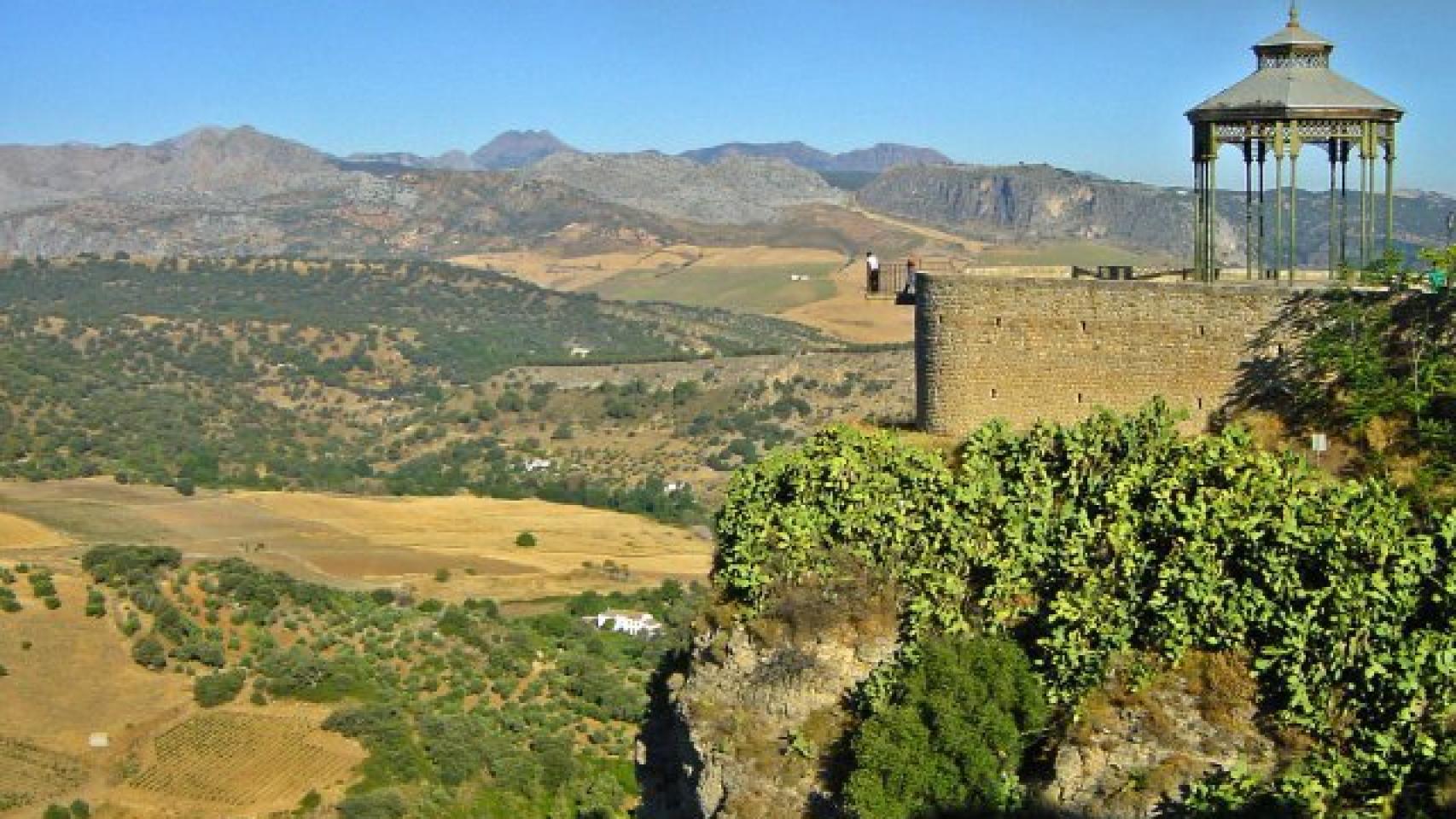 Vista de los viñedos desde lo alto de la ciudad.