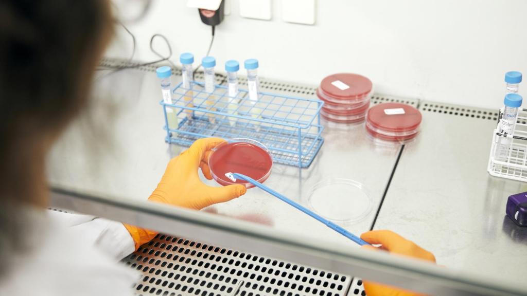 Cáncer: el ‘mordisco’ definitivo de la inmunoterapia que dota a las defensas de 'superpoderes'