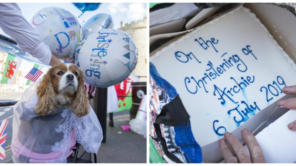 Un perro disfrazado junto a una tarta con el nombre de Archie.