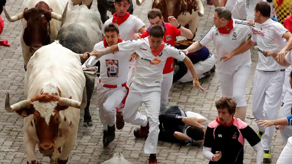 Los cabestros, en la tercer encierro de San Fermín.