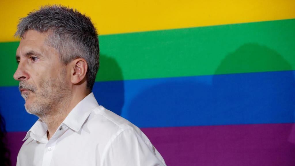 Fernando Grande-Marlaska, ministro del Interior.