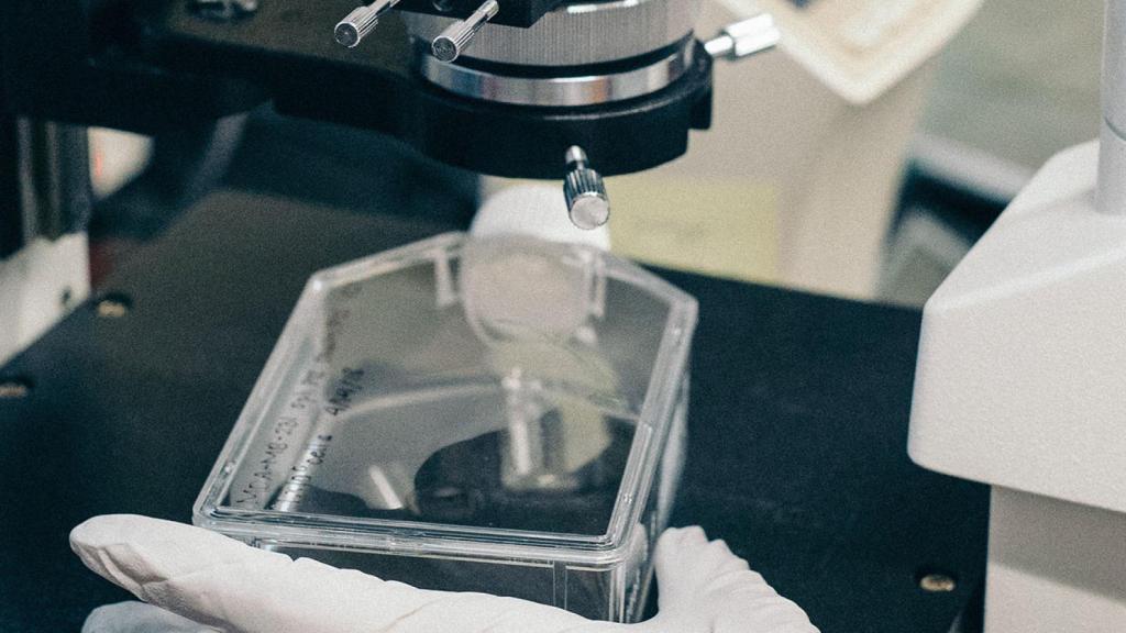 Es un avance del centro oncológico Johns Hopkins Kimmel.