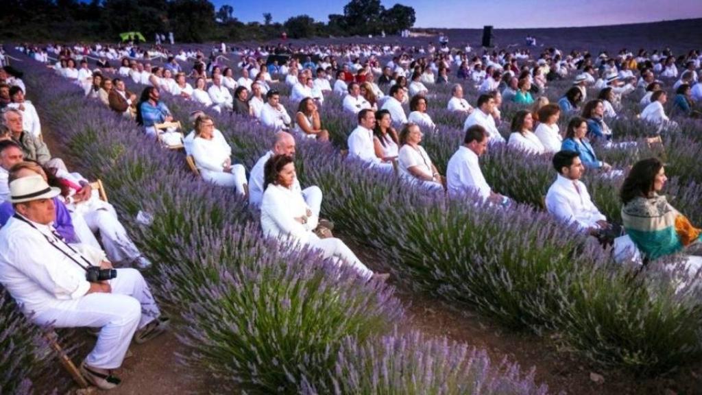 Impresionante imágen del Festival de Lavanda de Brihuega, al que asisten este viernes lo,s consejeros Arroyo y Escudero