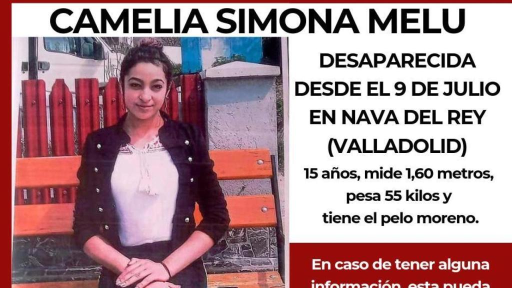 Cartel de desaparición de Camelia