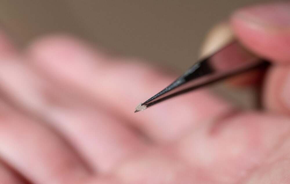 Robot microscópico 2