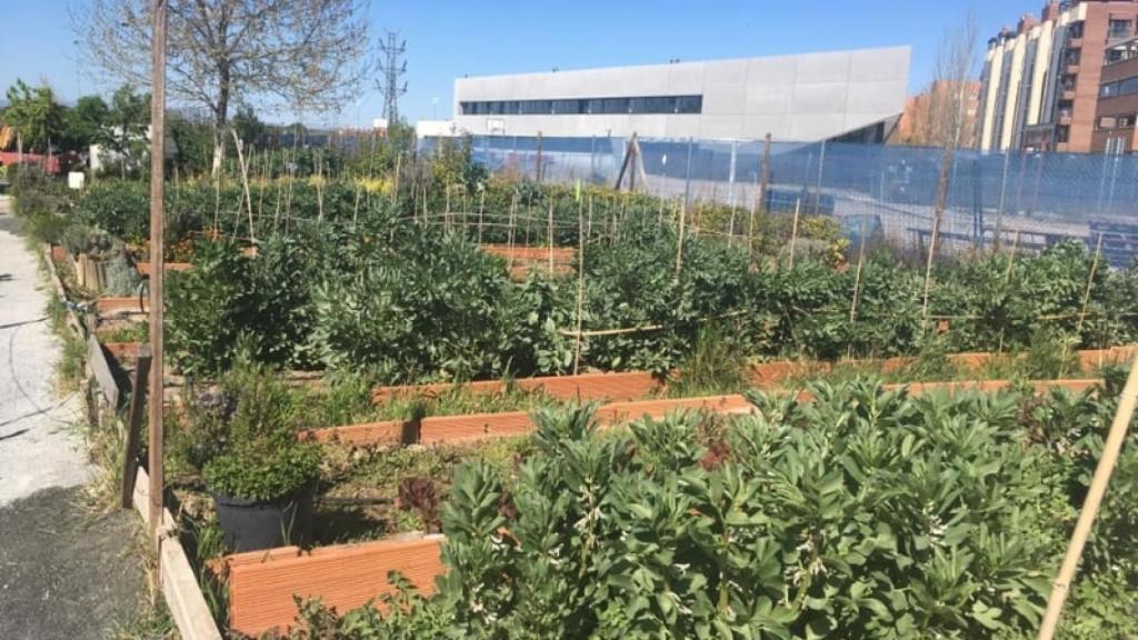 Foto: Huerto Montecarmelo