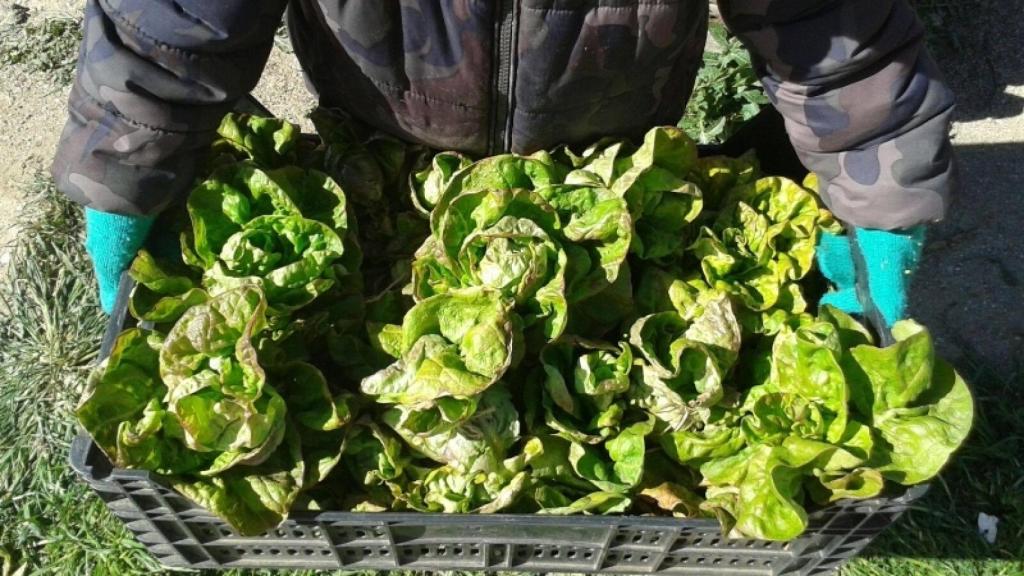 Foto: Huerto Zuloaga