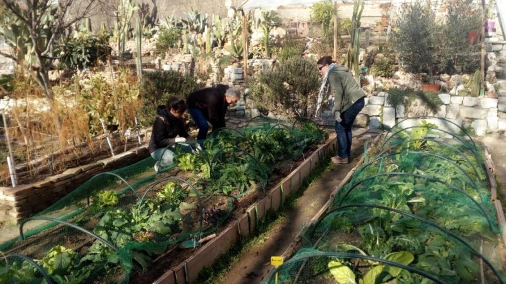 Foto: Esta es una plaza