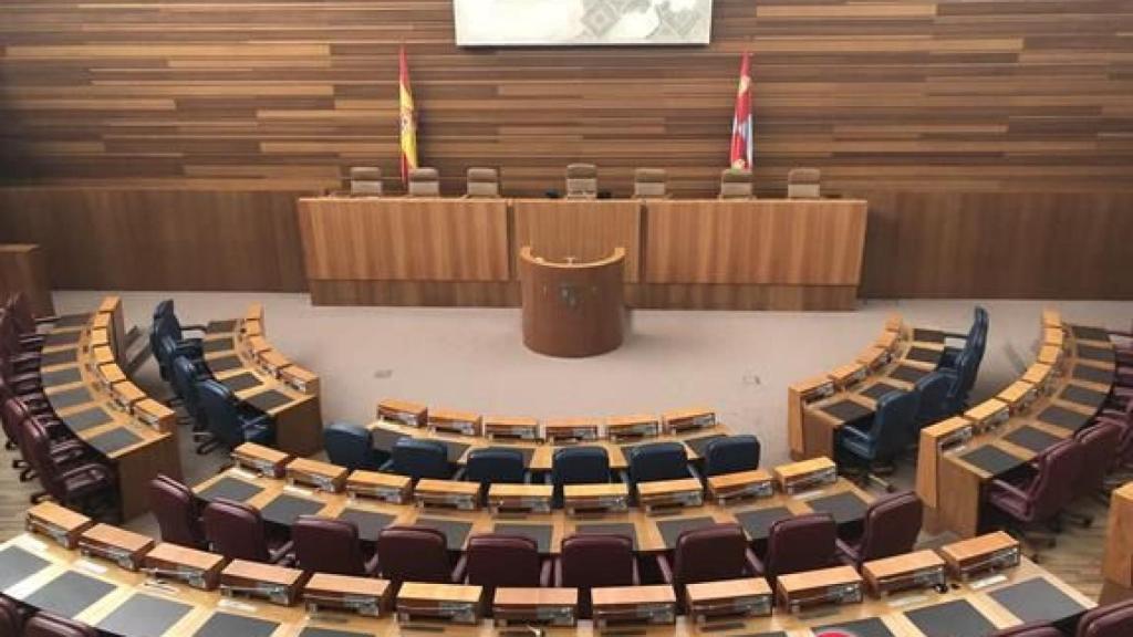 Las Cortes de Castilla y Leon (12)