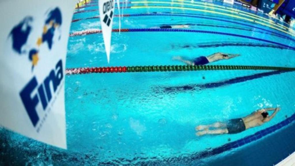 Federación Internacional de Natación (FINA). Foto: FINA